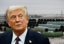 Here’s What Trump Revealed About the Keystone XL Pipeline